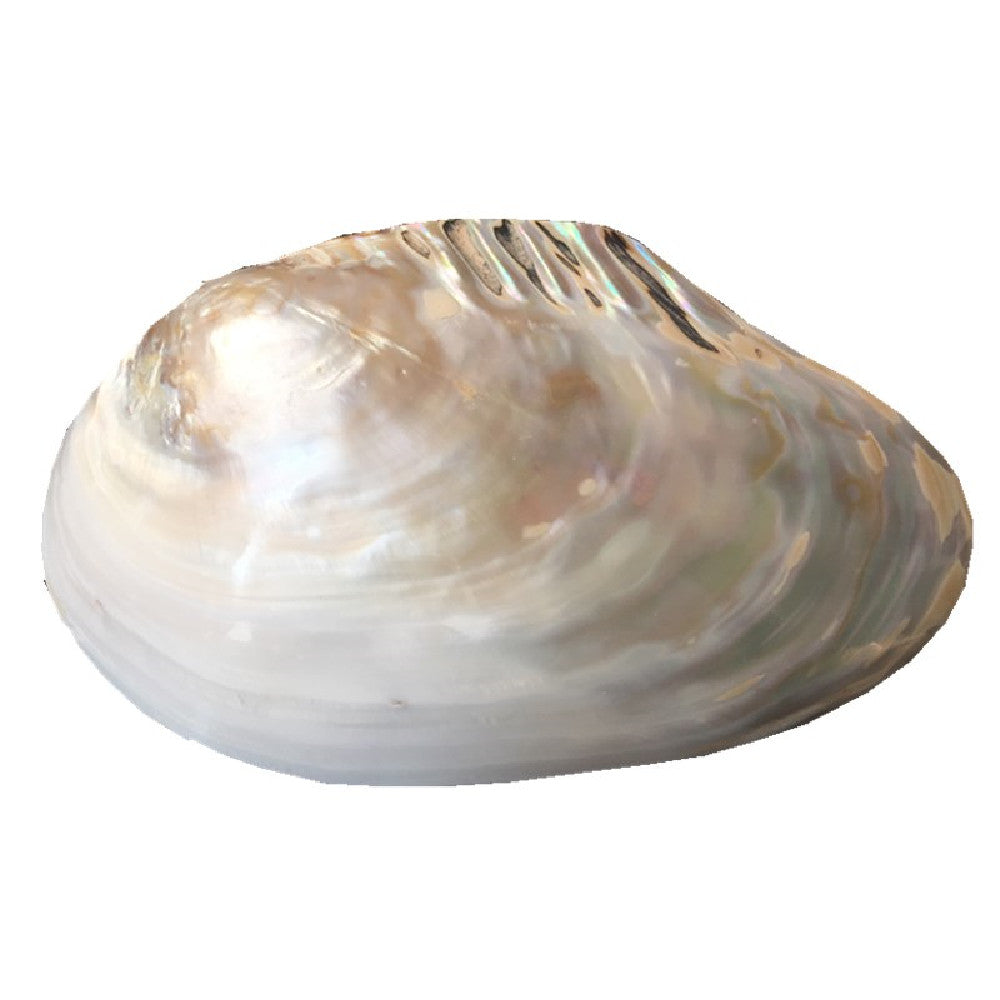 26556c7ba71ba75eb879e09e97294d3
